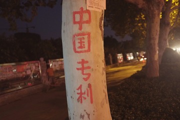 _DSF7441