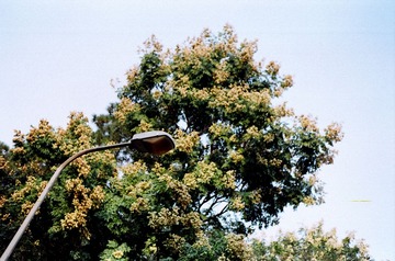 93230024