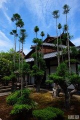 DSCF0722-1