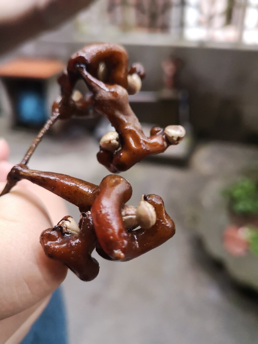根雕茶盆漏水如何修,陶瓷脸盆漏水怎么办?可以用防水胶堵气孔