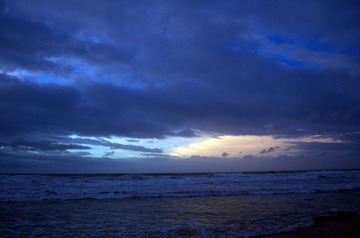 DSC_0371.jpg