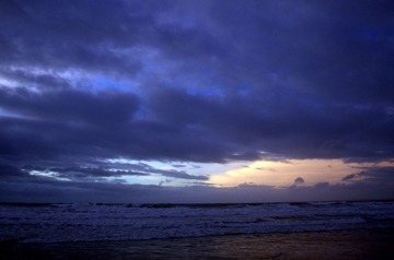 DSC_0373.jpg