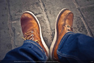 _DSC5595_1+_1+.jpg