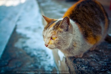 _DSC4989+_1+.jpg