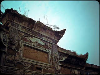 SNC18274+_1_1.JPG