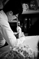 _DSC6962_1_1_1.JPG