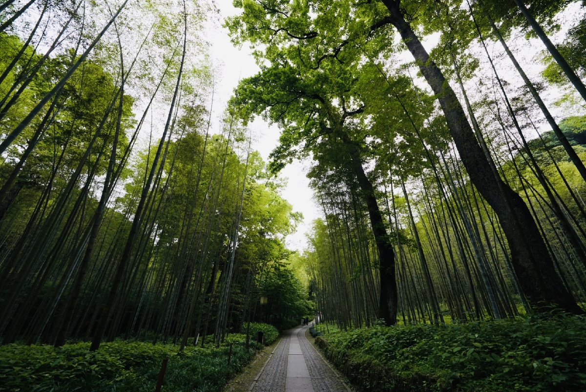 空幽禅境 - 晓破天空 - 图虫