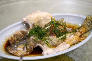 958EF9CA-CDAD-4F7E-B8B3-AC387DC7BA53/L0/001