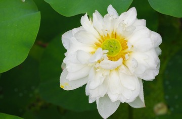 IMGP1372