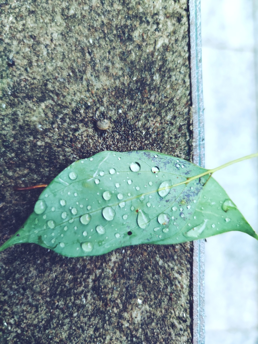 我所在的城市在下雨你在的城市有没有下雨啊