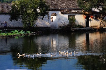IMG_3219.jpg