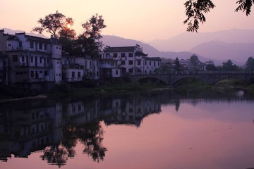 IMG_3790.jpg