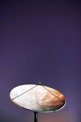 IMG_79091.jpg