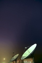 IMG_79141.jpg
