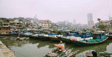 IMG_9565.jpg
