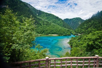 IMG_2458.jpg