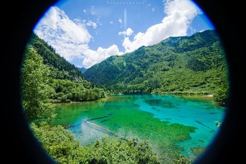 IMG_2464.jpg