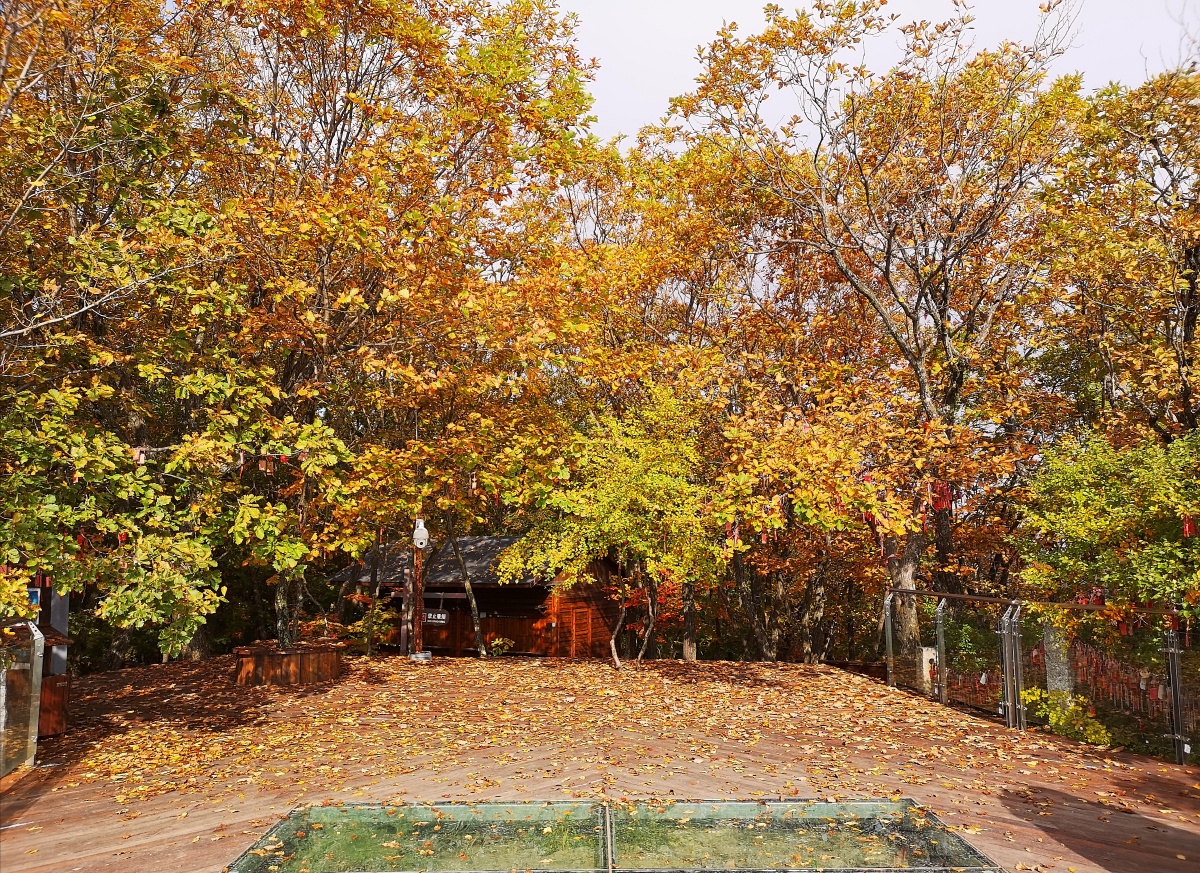 本溪桓仁五女山点将台云海和红叶