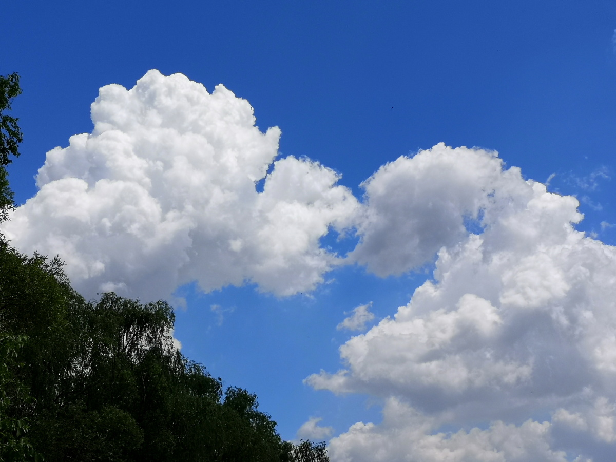 蓝天白云下的沈阳北陵公园