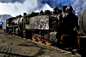 2629173