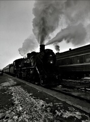 2875711