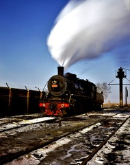 2637975