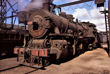 3273729