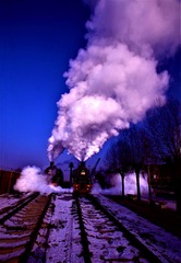 2637964