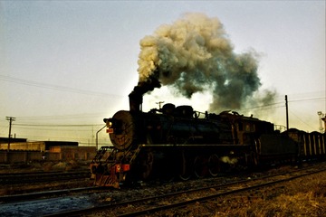 2629065
