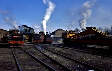 2629177