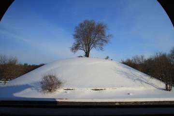 沈阳入冬后第二场雪20.JPG