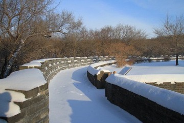 沈阳入冬后第二场雪18.JPG