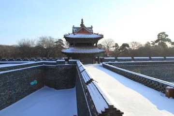 沈阳入冬后第二场雪21.JPG