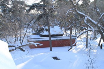 沈阳入冬后第二场雪23.JPG