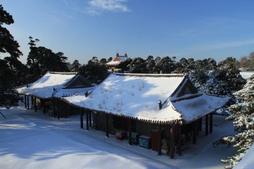 沈阳入冬后第二场雪24.JPG
