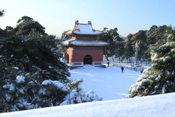 沈阳入冬后第二场雪25.JPG