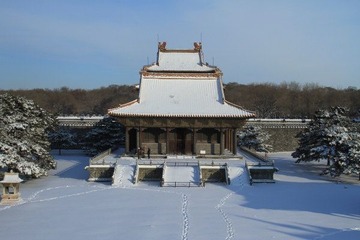 沈阳入冬后第二场雪26.JPG