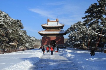 沈阳入冬后第二场雪27.JPG