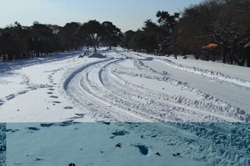 沈阳入冬后第二场雪30.JPG