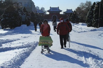 沈阳入冬后第二场雪38.JPG