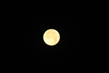 月复圆记录04.JPG
