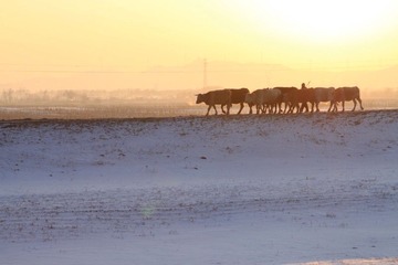 辽宁铁法蒸汽机车旅游10030