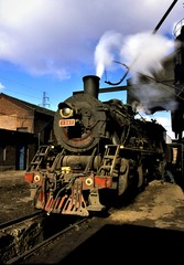 2629086