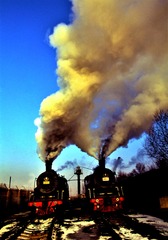 2637966