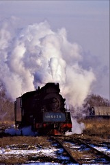 2856733