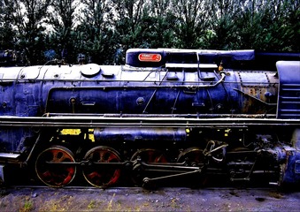 2628694