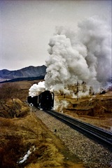 2623731