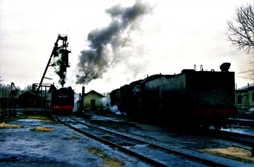 2624181
