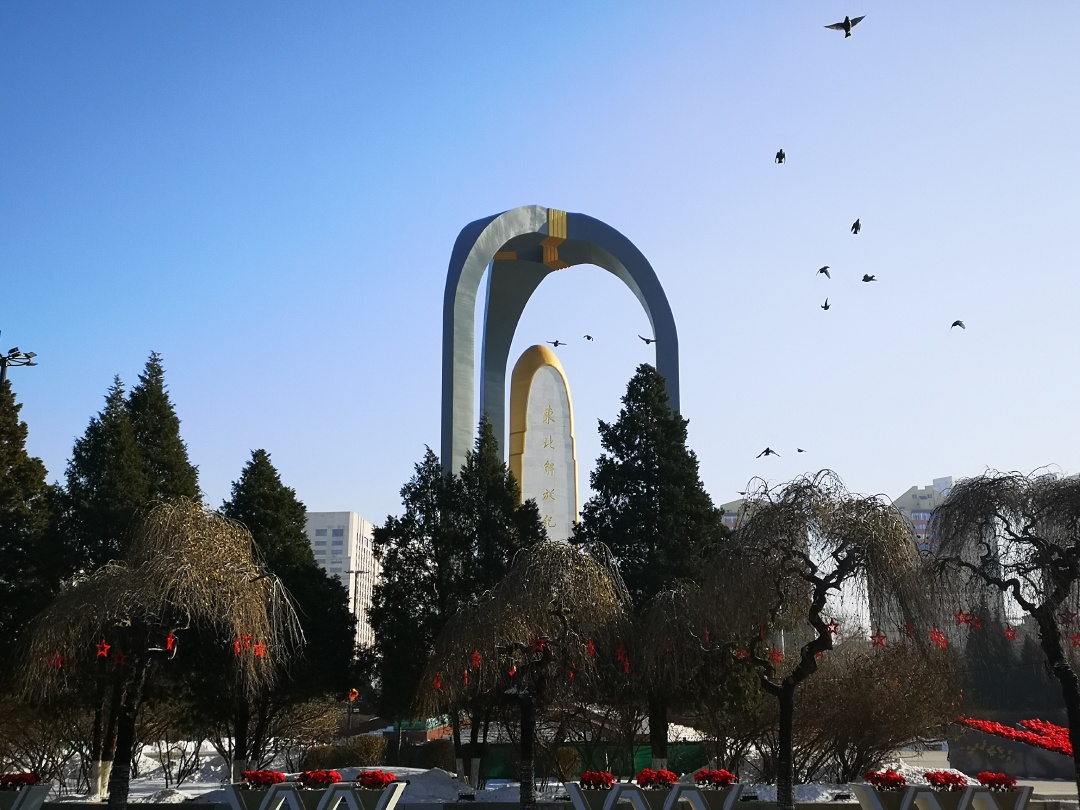 我镜头中巧遇沈阳和平广场大太平鸟觅