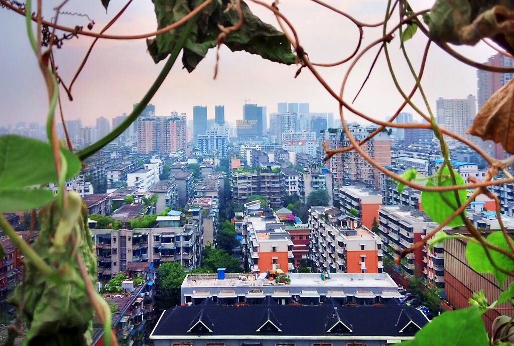 无论时光怎么打磨，成都这个天府之国，总能深深地印在我的脑海里……（PS后期）